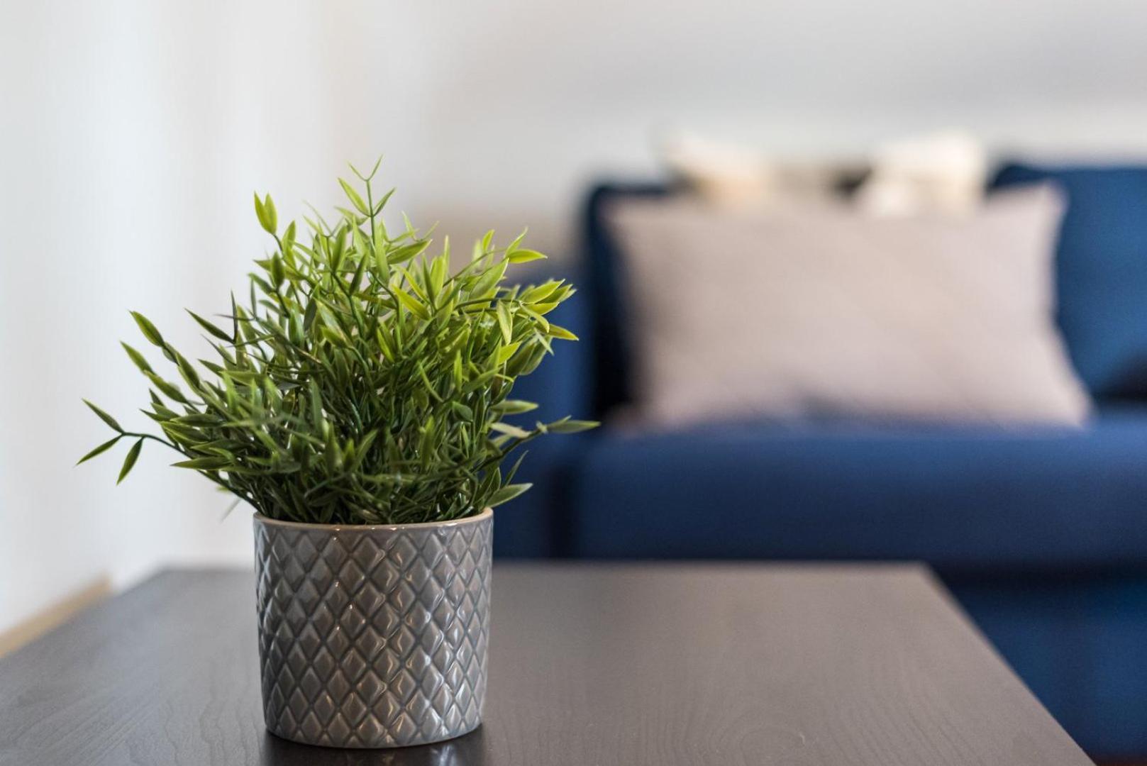 Guestready - Miragaia Rooftop OOporto Extérieur photo